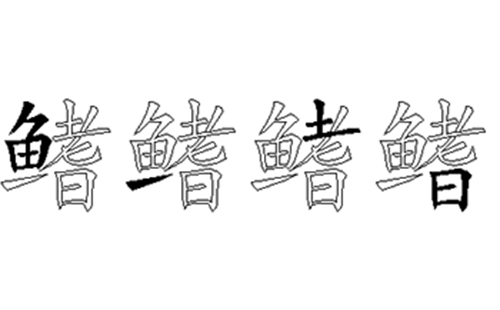 鳍的五笔拆分图解