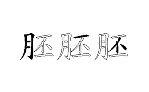 胚的五笔拆分图解