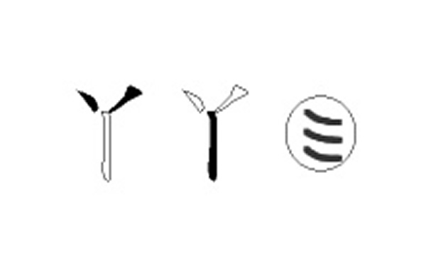 丫的五笔拆分图解