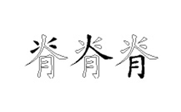 脊的五笔拆分图解