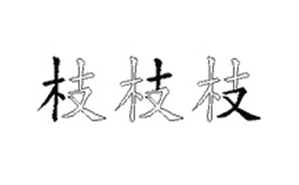 枝的五笔拆分图解