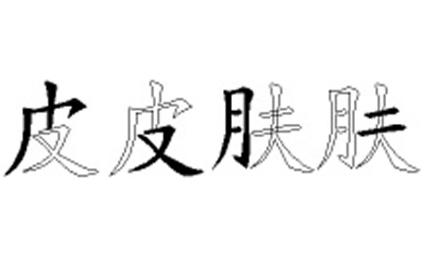 皮肤五笔拆字分解图