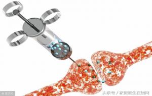 多巴胺是什么意思(多巴胺能让人快乐吗)