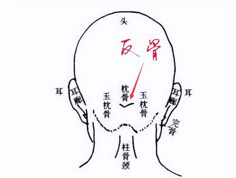 脑后有反骨的男人命运