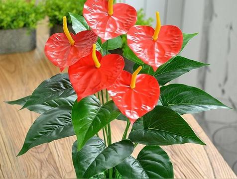 家里放假花有什么风水讲究