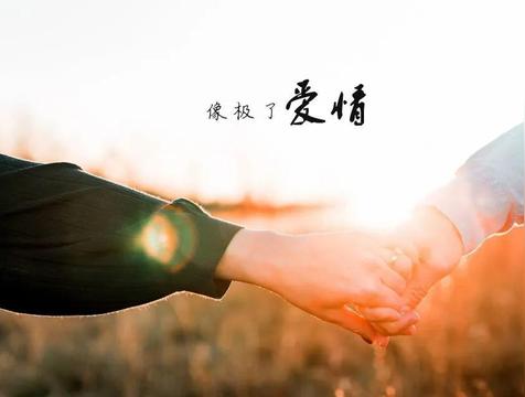 水瓶男和狮子女合适吗(配对指数)