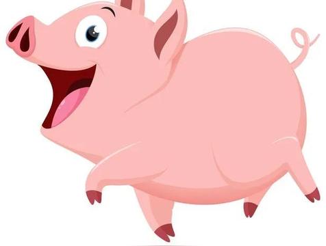 鸡飞狗跳是什么生肖(猪)