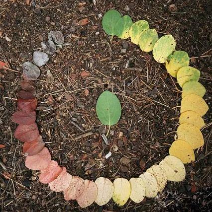 前世六道轮回查询(测试一下自己的前