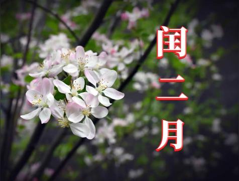 为什么闰二月可怕