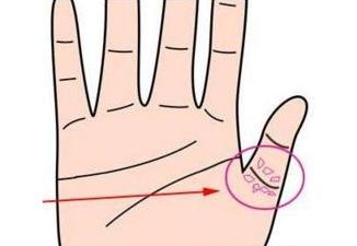 人要发财看大拇指(大拇指看财运)