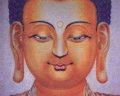 耳朵薄的男人的命运