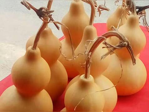 葫芦寓意着什么意思