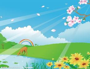 属鸡是哪年出生的,生肖鸡的人的命运