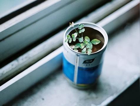 吃饭看一个人富贵