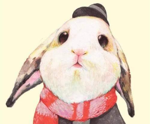 测测你的前世在线