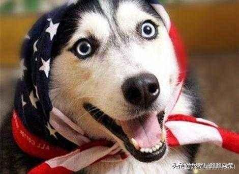 天秤座男生性格特点脾气