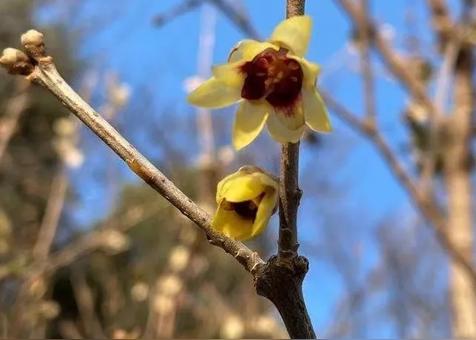 五行缺什么是可怕的(不能缺哪一行)