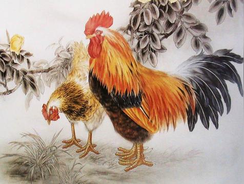 金鸡独立是什么生肖(鸡)