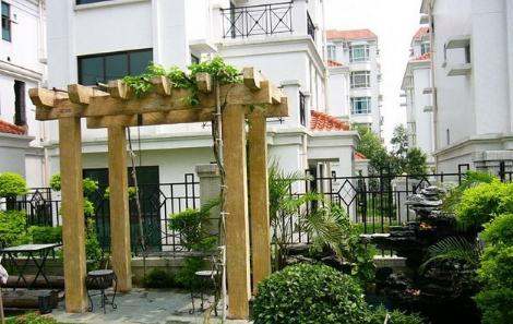 屋后种什么树更旺（屋后风水好镇宅的树）