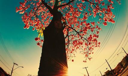 和摩羯座谈恋爱需要注意什么