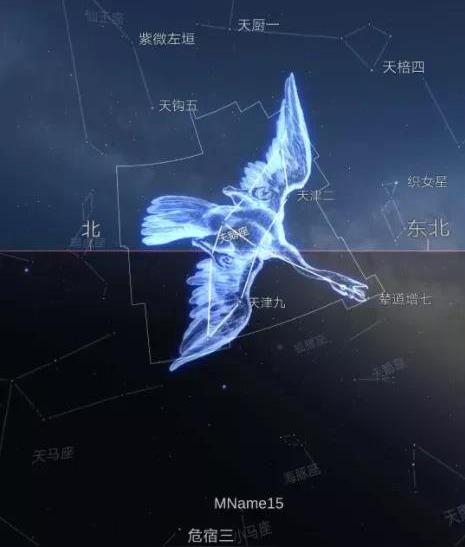 天鹅座是什么星座