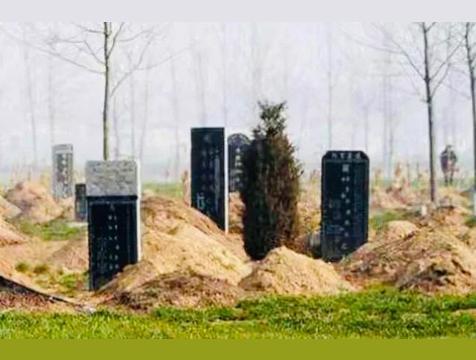 立碑好还是不立碑好