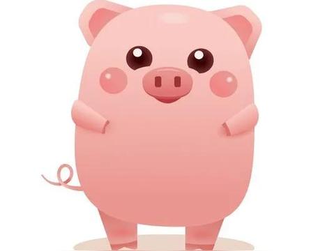 道人良言有玄机是什么生肖