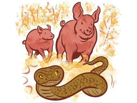 属蛇人一辈子的克星