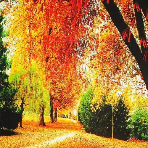 破相之后人会转运吗(装相与破相)