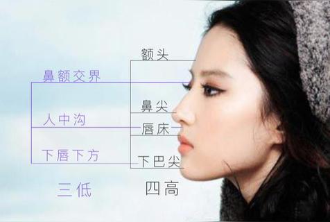 四高三低是什么脸型