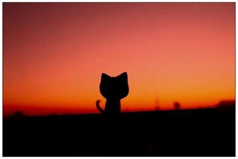 白羊座人的性格和脾气