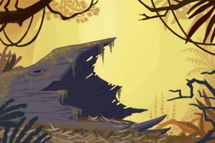 1995年属猪男今年的姻缘(属猪配偶)