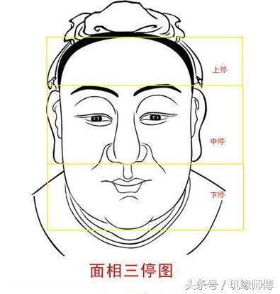 面相每个部位代表的年龄(面相年龄运势图详解)