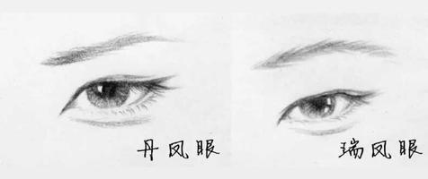 瑞凤眼女人命运怎么样