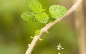 为什么要躲春(躲春是躲一天吗)