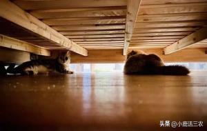 床底千万别放5样东西(床底风水讲究)