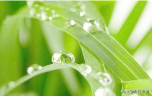 癸水是什么东西(癸水命运)