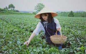 外表聪明内心傻的星座