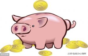 属猪的和什么属相最配、相克