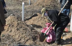 挪坟地有什么讲究,挪坟什么时间好