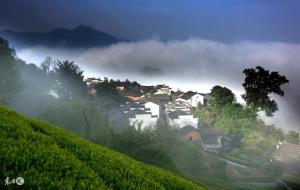 晚年烂桃花生肖有哪些