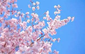 十二星座的性格与典型特点,超准!