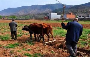 男怕初一什么意思