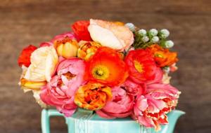 狮子座绝情后还能挽回吗