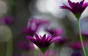 吃饭看女人福气