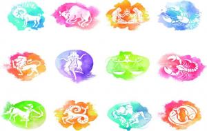 星宿关系(星宿是什么意思)