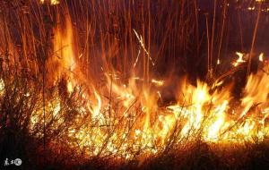 梦见什么会发大财,预示大富大贵的梦