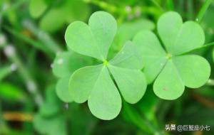 巨蟹座最可怕的一面