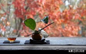 家运不好一般要几年(十年)