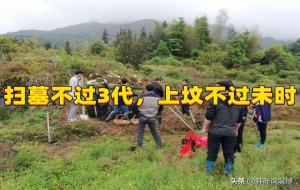 扫墓时间有什么讲究